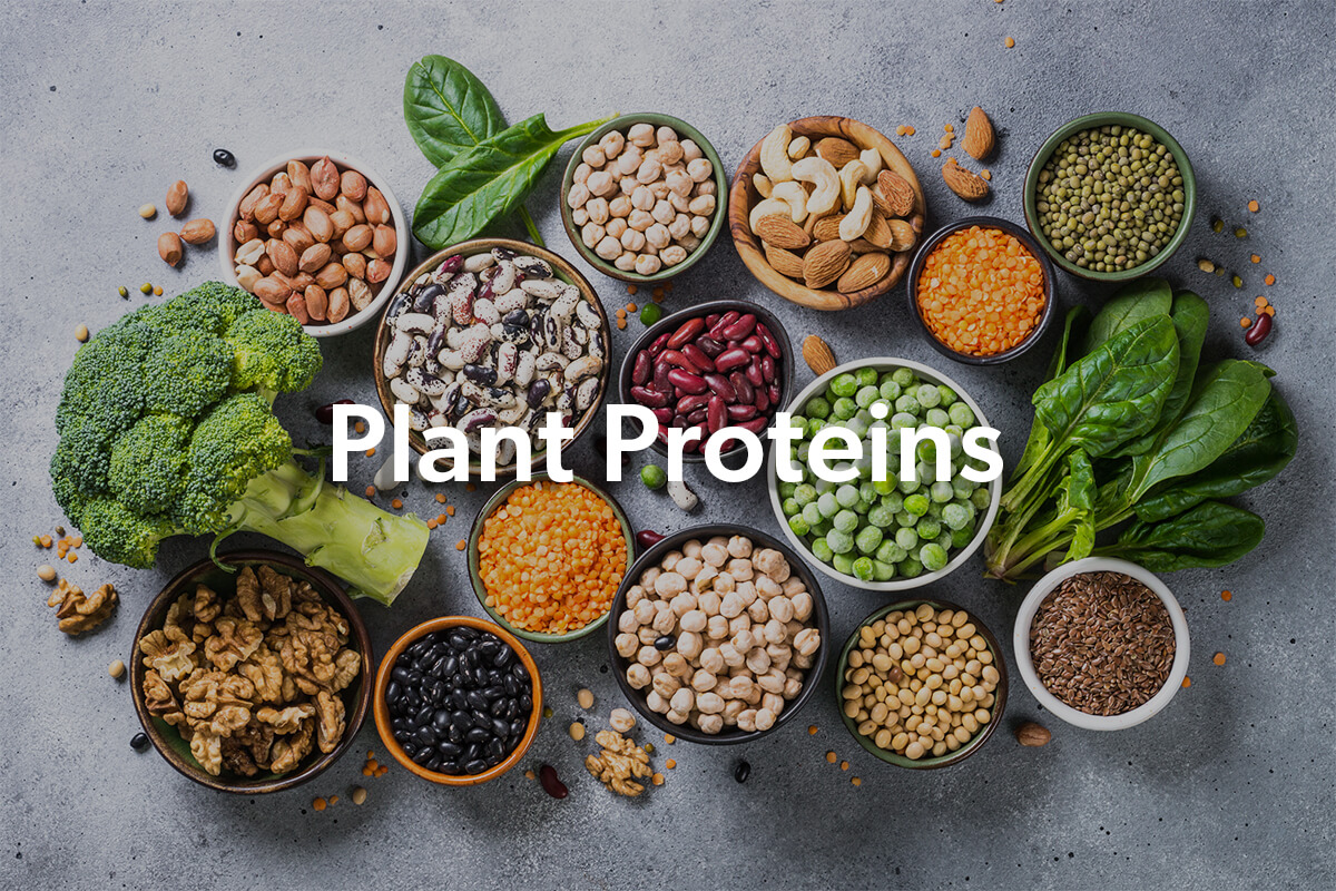 Vegan Complete Protein Combinations Chart